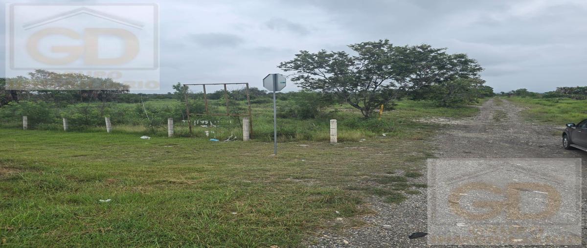 Foto de terreno habitacional en venta en  , gonzález [ejido], gonzález, tamaulipas, 0 No. 03